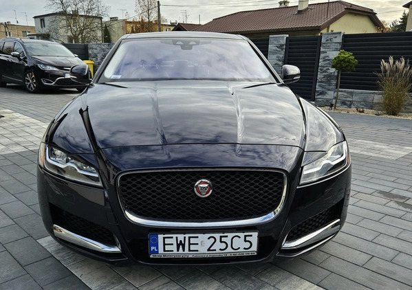 Jaguar XF cena 82900 przebieg: 53500, rok produkcji 2016 z Łódź małe 92